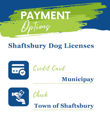 online payment options