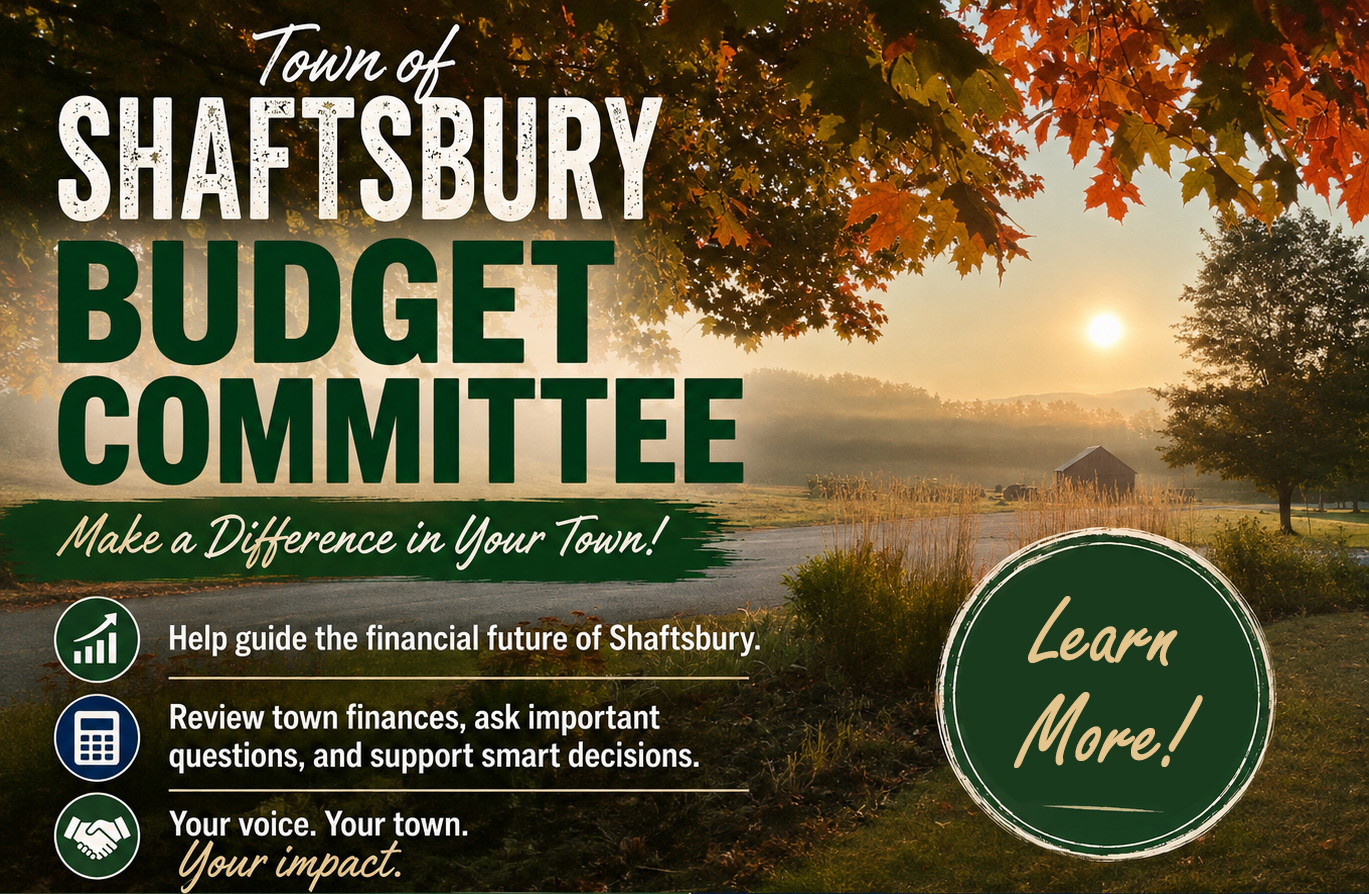 join the budget committee