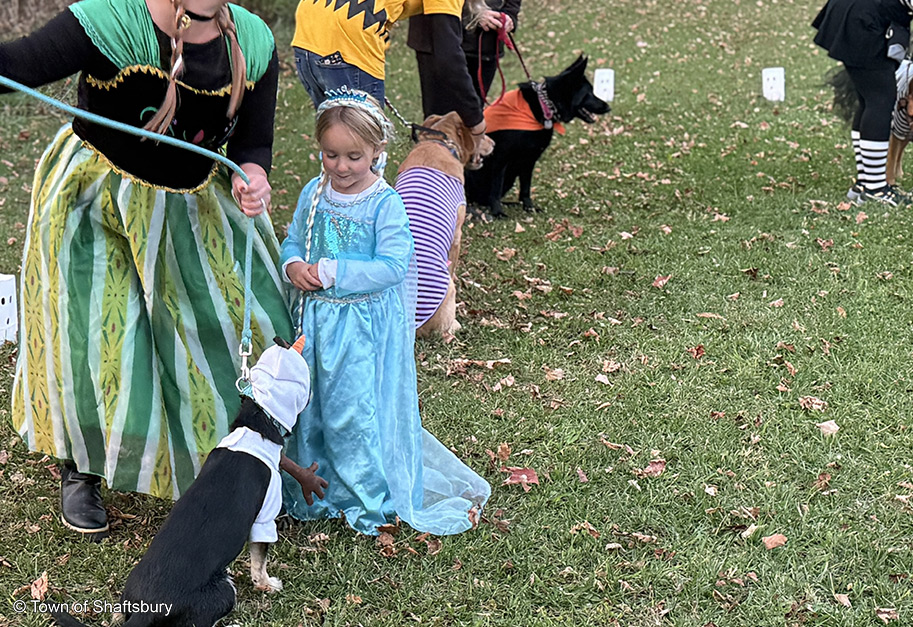 parade