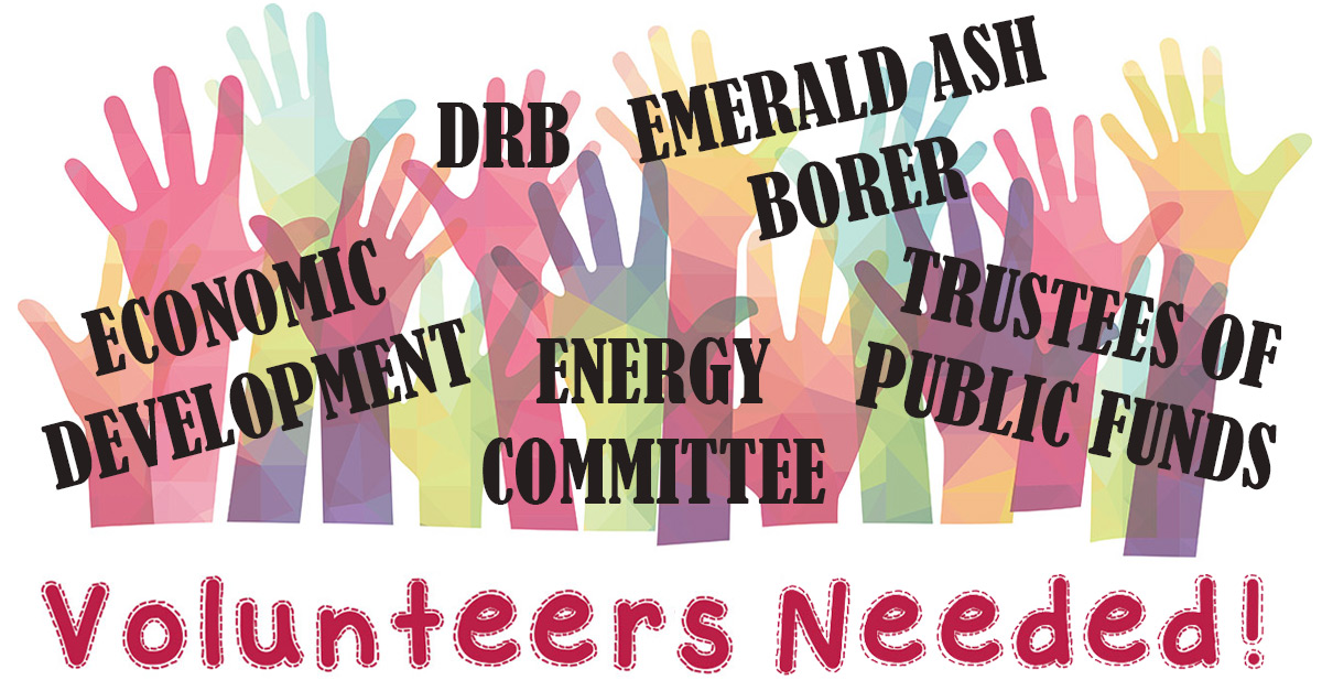 volunteer opportunities