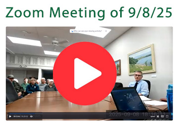 watch the zoom meeting